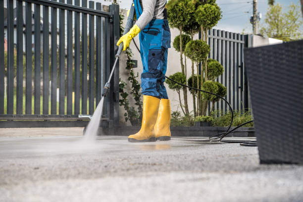 Best Pressure Washing Siding  in Lynbrook, NY